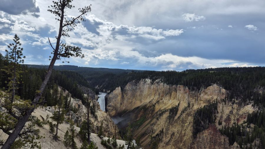 הגראנד קניון של ילוסטון